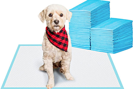 Pet Training and Puppy Pads Pee Pads for Dogs 22"X22"-50 Count Super Absorbent & Leak-Proof